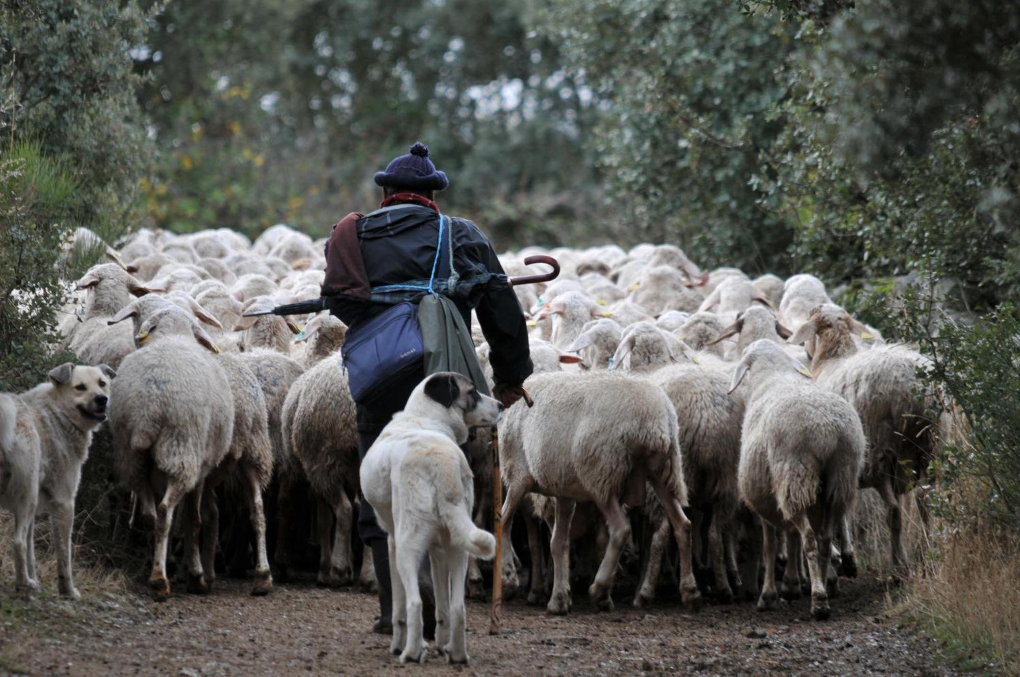 Posada Real La Mula De Los Arribes Villardiegua de la Ribera Kültér fotó