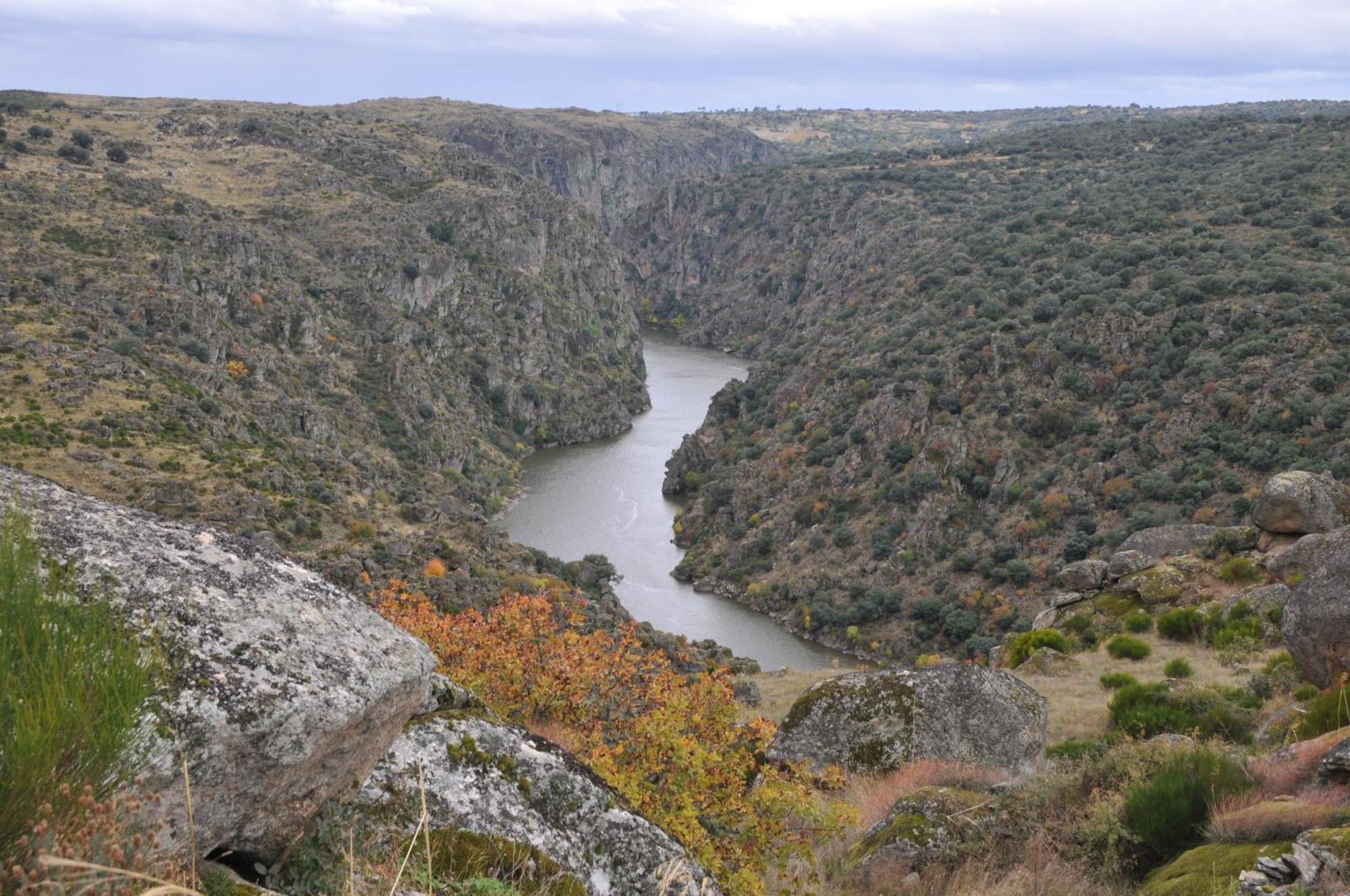 Posada Real La Mula De Los Arribes Villardiegua de la Ribera Kültér fotó